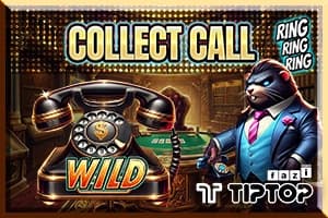 Collect Call